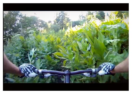 Bogus Basin mountain bike